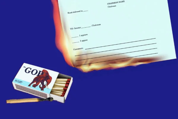 Democracy Docket